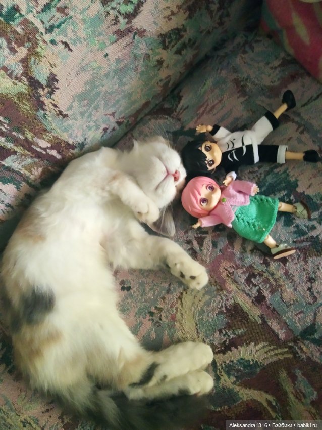 Маруся спит😉 — Аниме куклы (MJD/Винил): Imomo