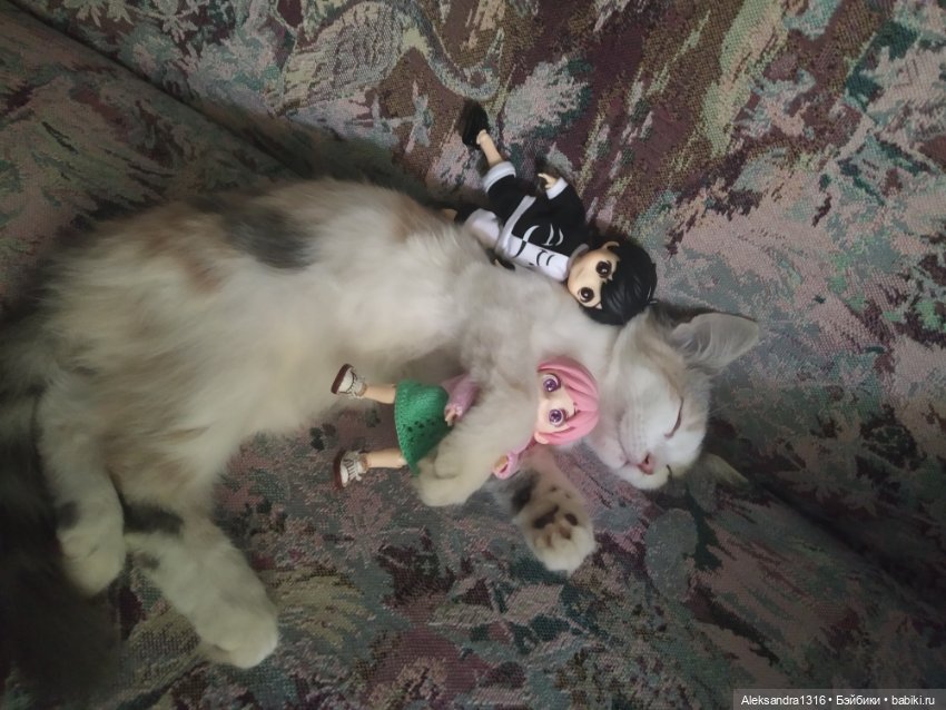 Маруся спит😉 — Аниме куклы (MJD/Винил): Imomo