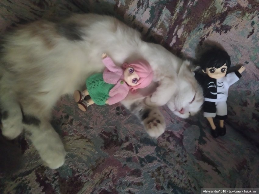 Маруся спит😉 — Аниме куклы (MJD/Винил): Imomo