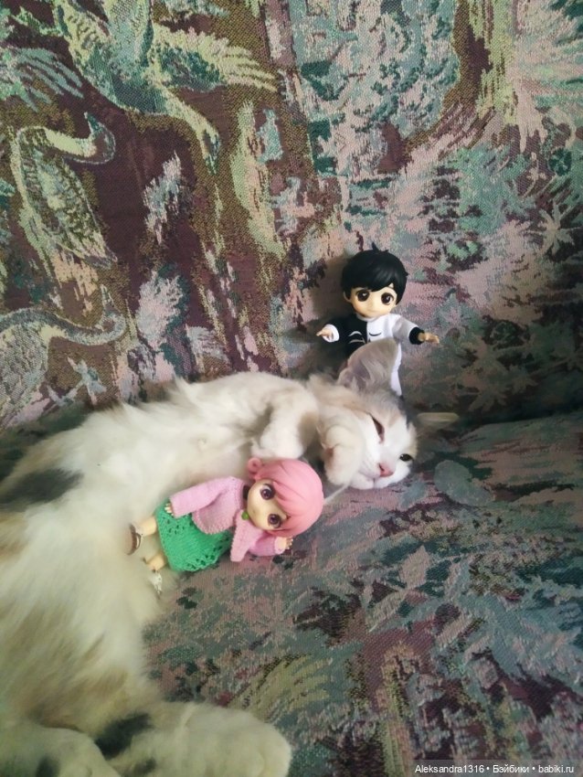 Маруся спит😉 — Аниме куклы (MJD/Винил): Imomo