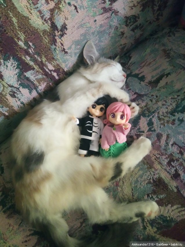 Маруся спит😉 — Аниме куклы (MJD/Винил): Imomo