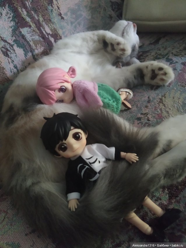 Маруся спит😉 — Аниме куклы (MJD/Винил): Imomo