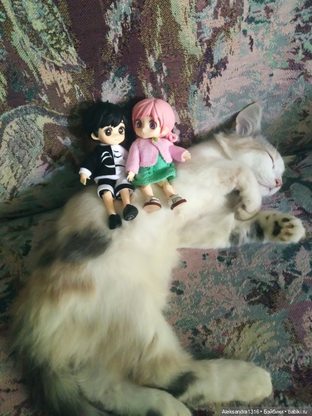 Маруся спит😉 — Аниме куклы (MJD/Винил): Imomo