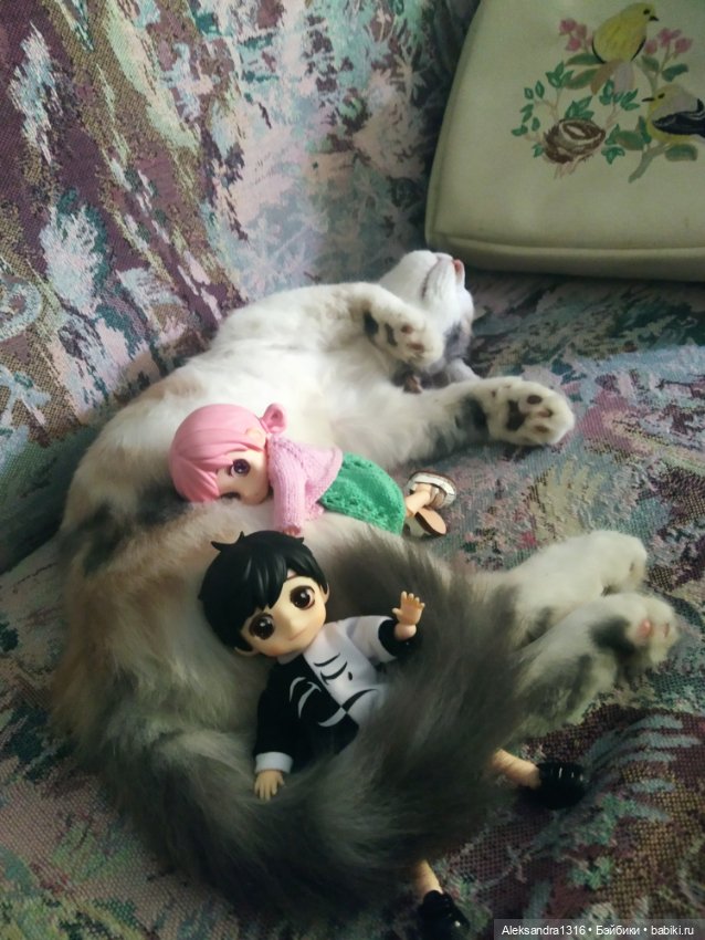 Маруся спит😉 — Аниме куклы (MJD/Винил): Imomo