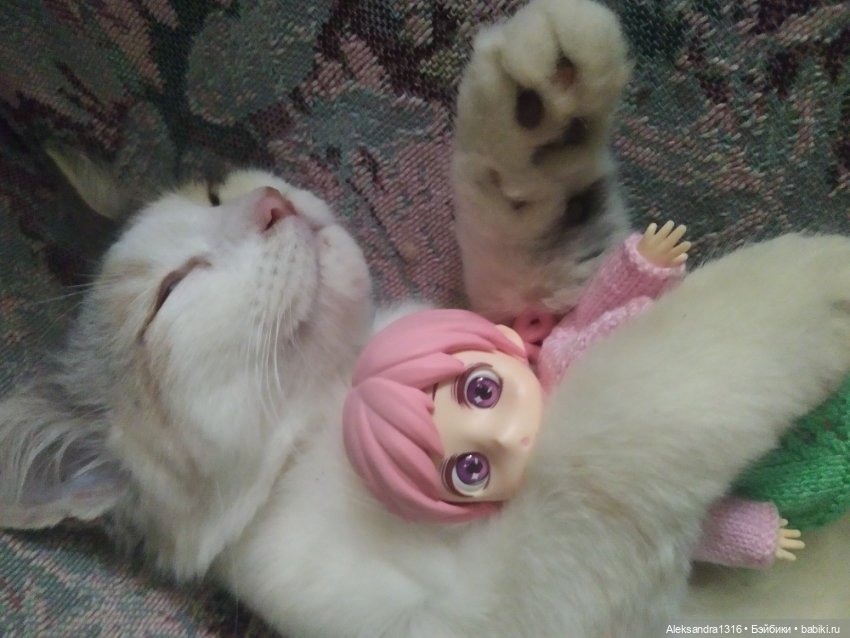 Маруся спит😉 — Аниме куклы (MJD/Винил): Imomo