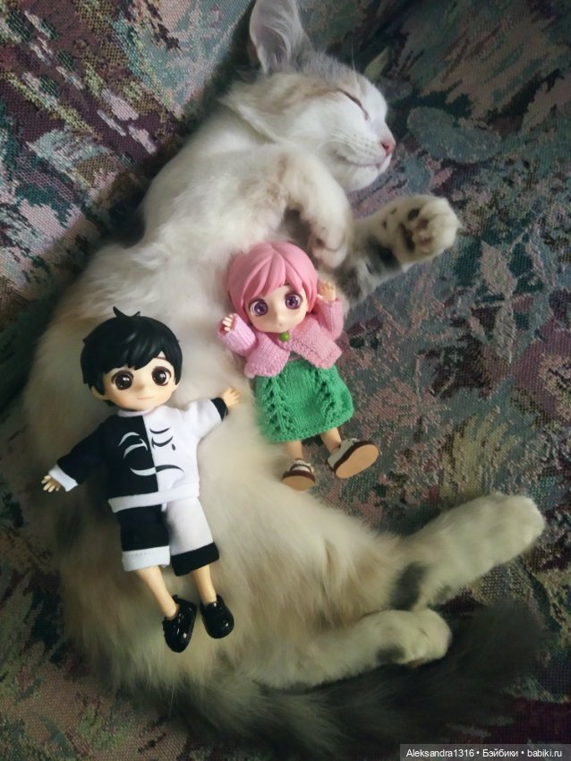 Маруся спит😉 — Аниме куклы (MJD/Винил): Imomo