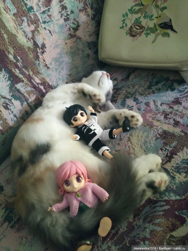 Маруся спит😉 — Аниме куклы (MJD/Винил): Imomo