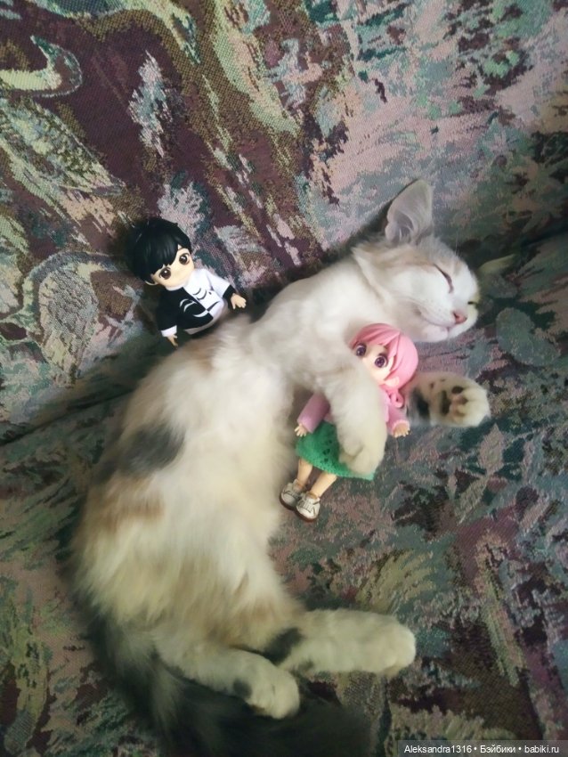 Маруся спит😉 — Аниме куклы (MJD/Винил): Imomo