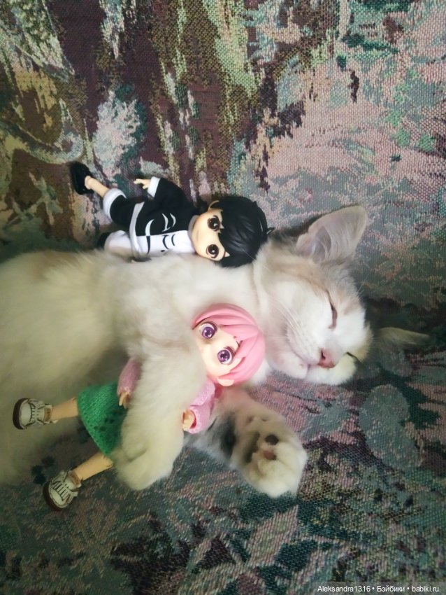 Маруся спит😉 — Аниме куклы (MJD/Винил): Imomo