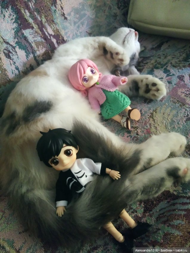 Маруся спит😉 — Аниме куклы (MJD/Винил): Imomo