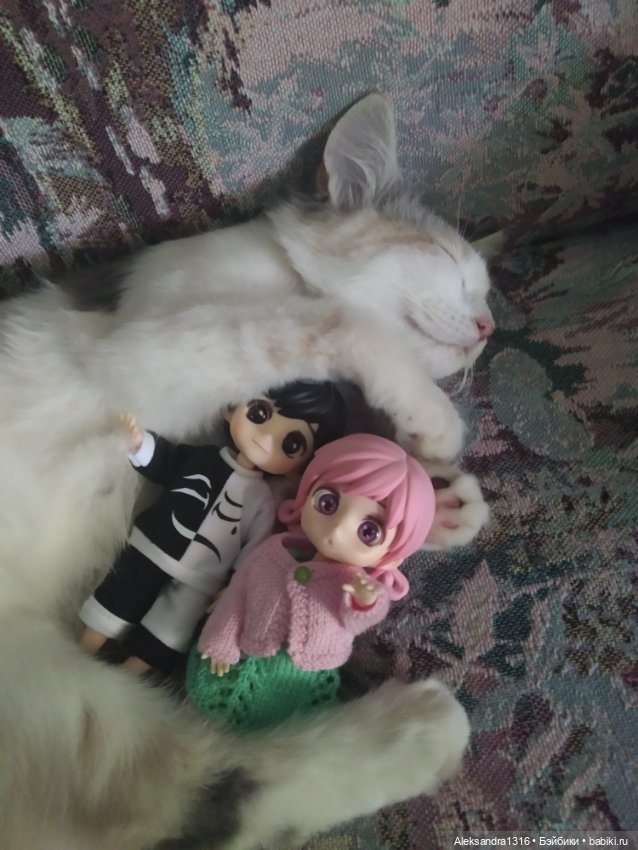 Маруся спит😉 — Аниме куклы (MJD/Винил): Imomo