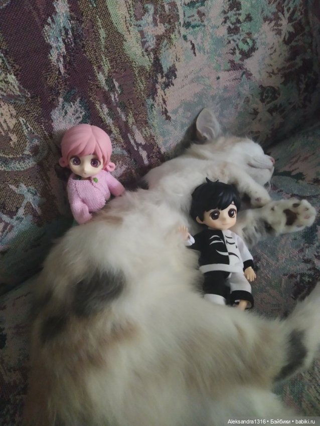 Маруся спит😉 — Аниме куклы (MJD/Винил): Imomo