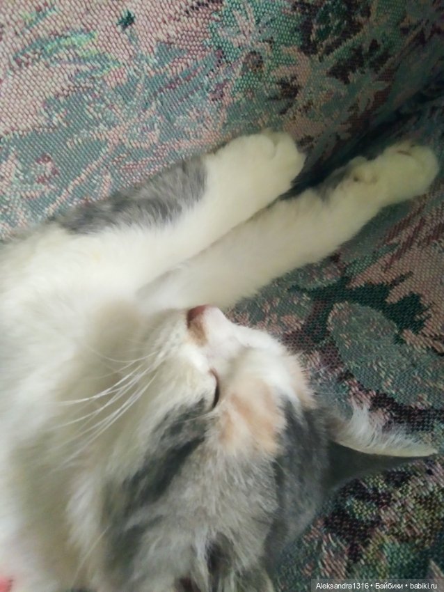 Маруся спит😉 — Аниме куклы (MJD/Винил): Imomo (фото 2)