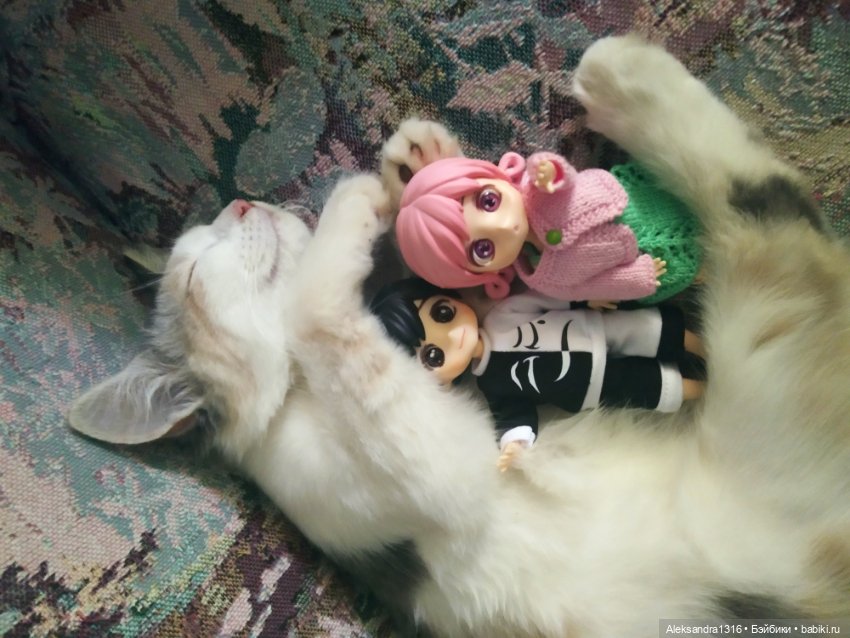 Маруся спит😉 — Аниме куклы (MJD/Винил): Imomo