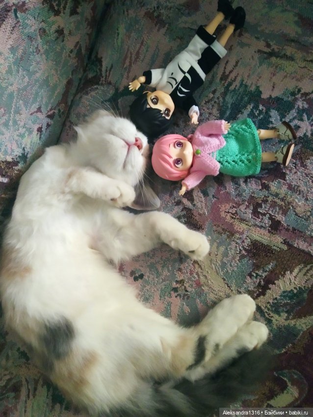 Маруся спит😉 — Аниме куклы (MJD/Винил): Imomo