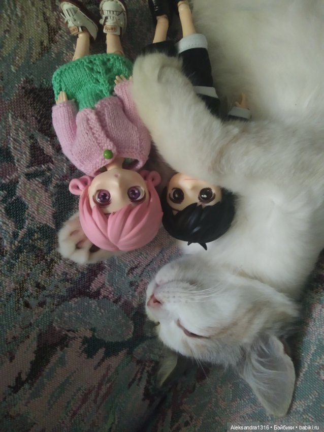 Маруся спит😉 — Аниме куклы (MJD/Винил): Imomo