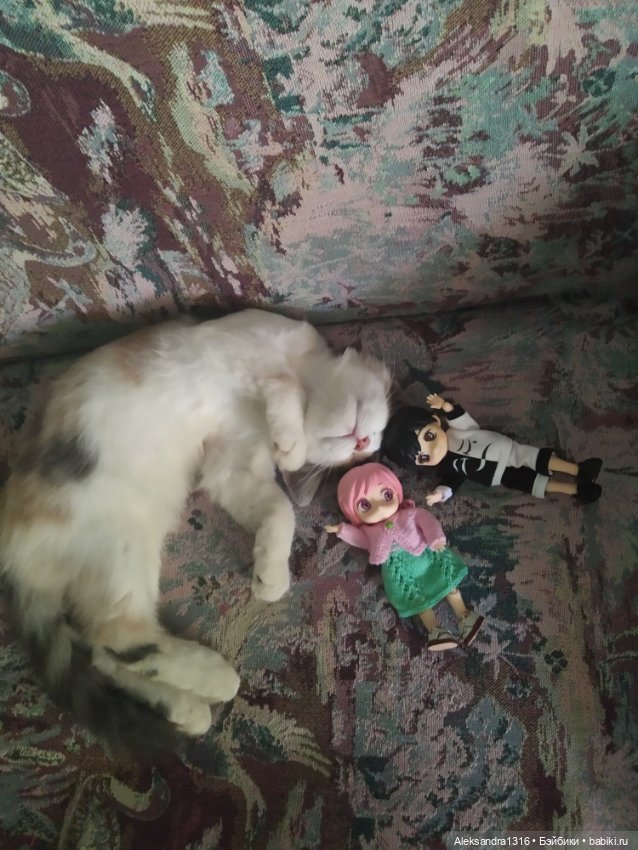 Маруся спит😉 — Аниме куклы (MJD/Винил): Imomo