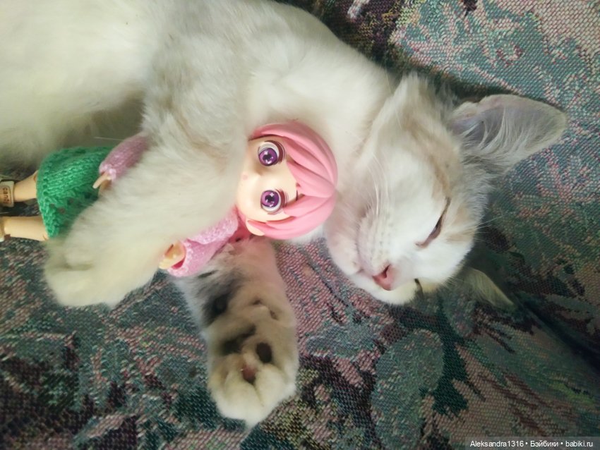 Маруся спит😉 — Аниме куклы (MJD/Винил): Imomo