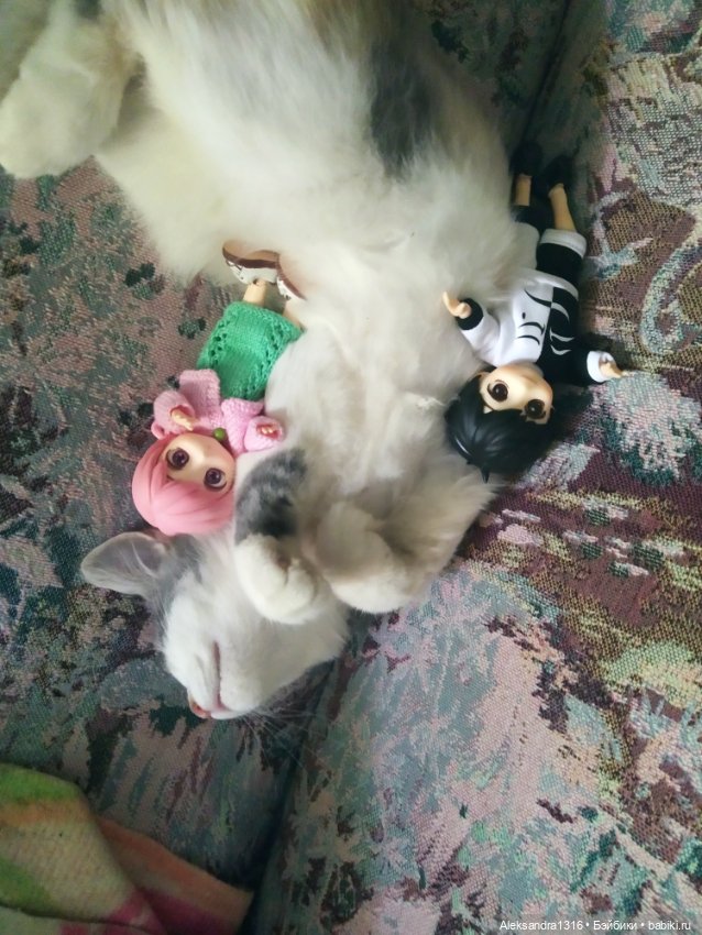 Маруся спит😉 — Аниме куклы (MJD/Винил): Imomo