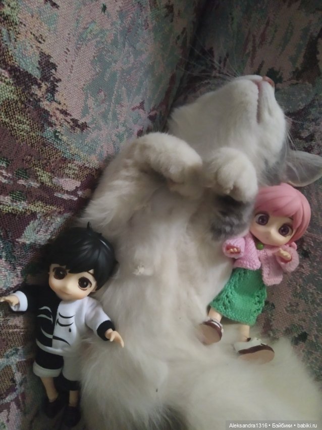 Маруся спит😉 — Аниме куклы (MJD/Винил): Imomo