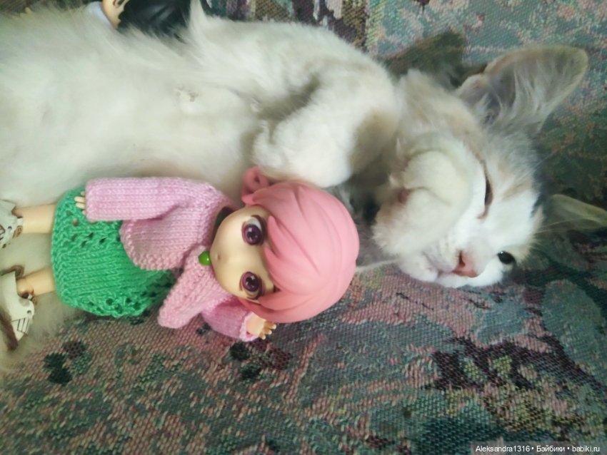 Маруся спит😉 — Аниме куклы (MJD/Винил): Imomo