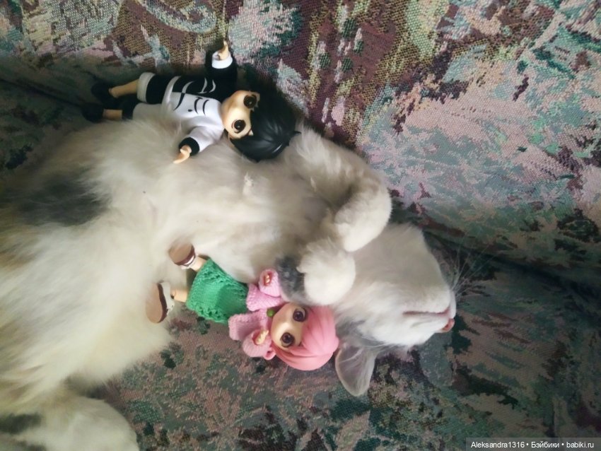 Маруся спит😉 — Аниме куклы (MJD/Винил): Imomo