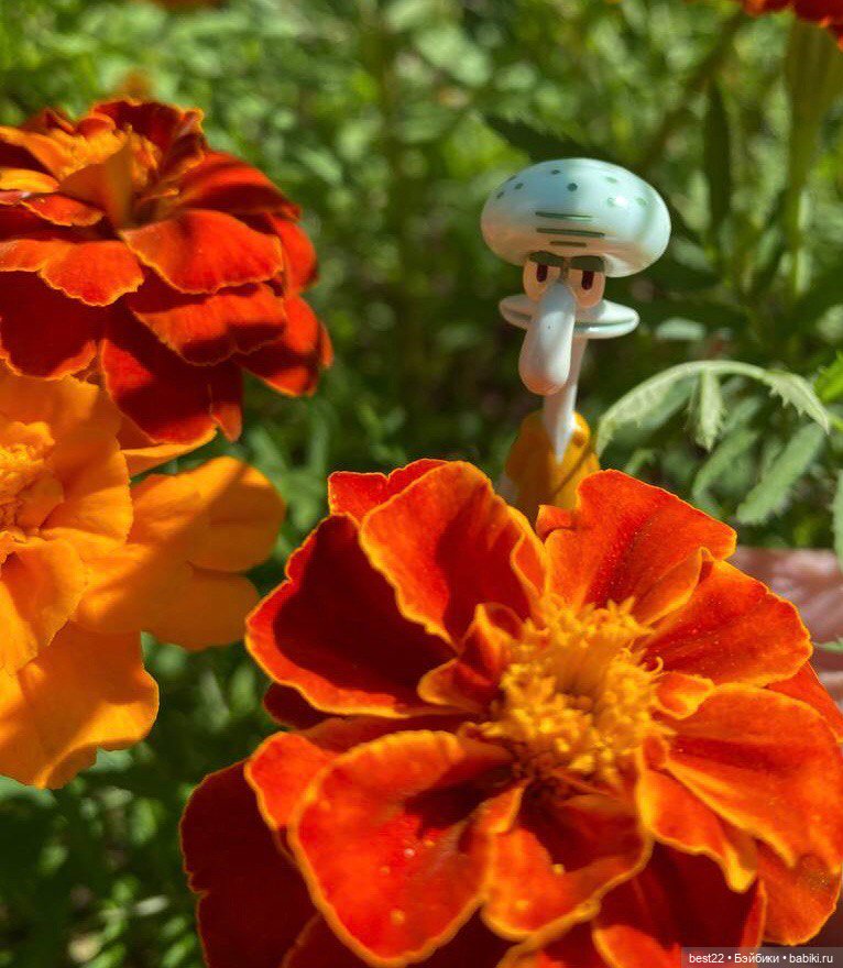 Сквидвард — Интересные игрушки и фигурки (разное): редкие (фото 9)