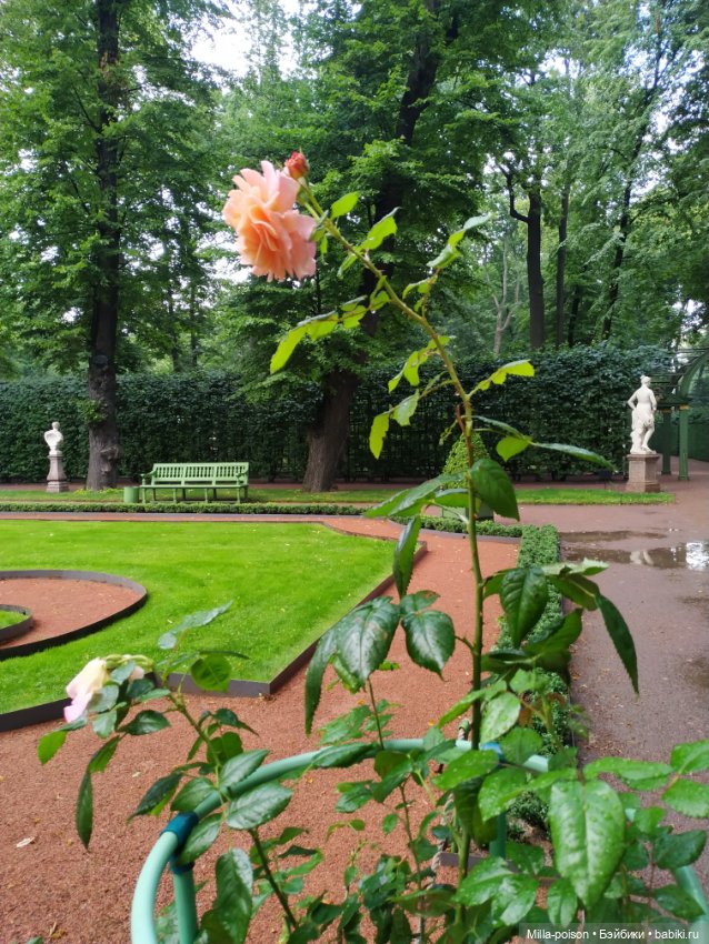 Ли Бён Хон в Летнем саду — Коллекционные экшн