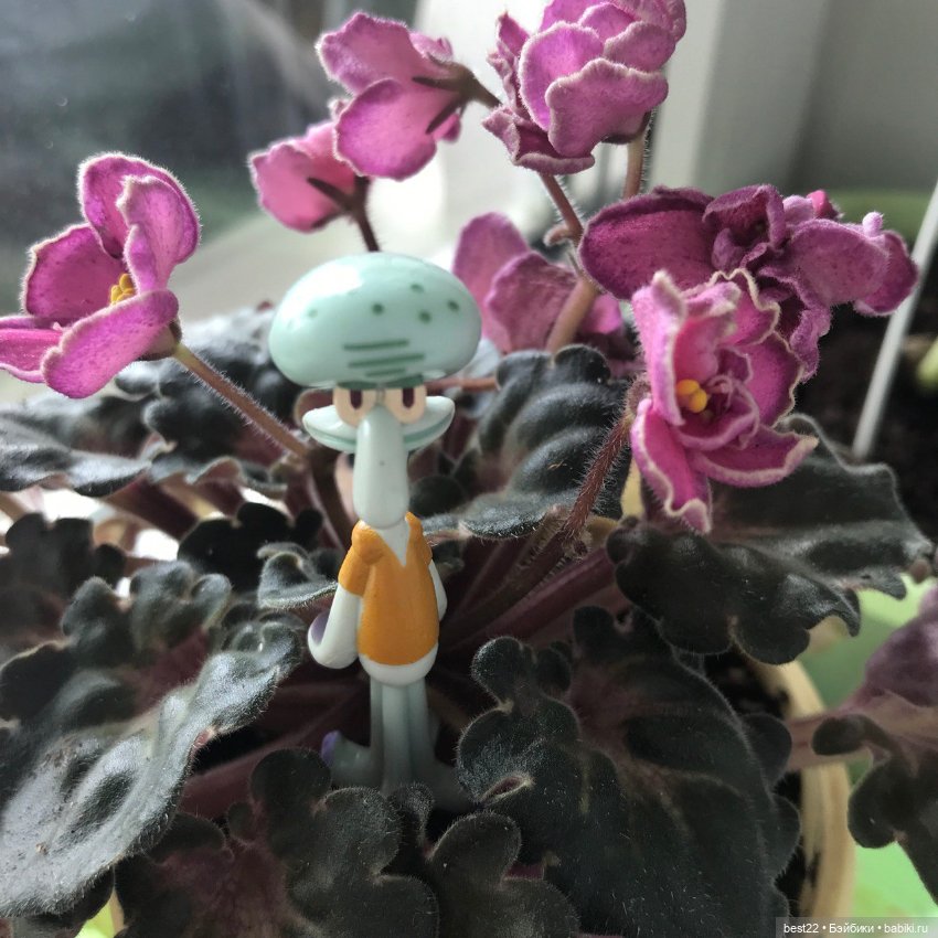 Сквидвард — Интересные игрушки и фигурки (разное): редкие