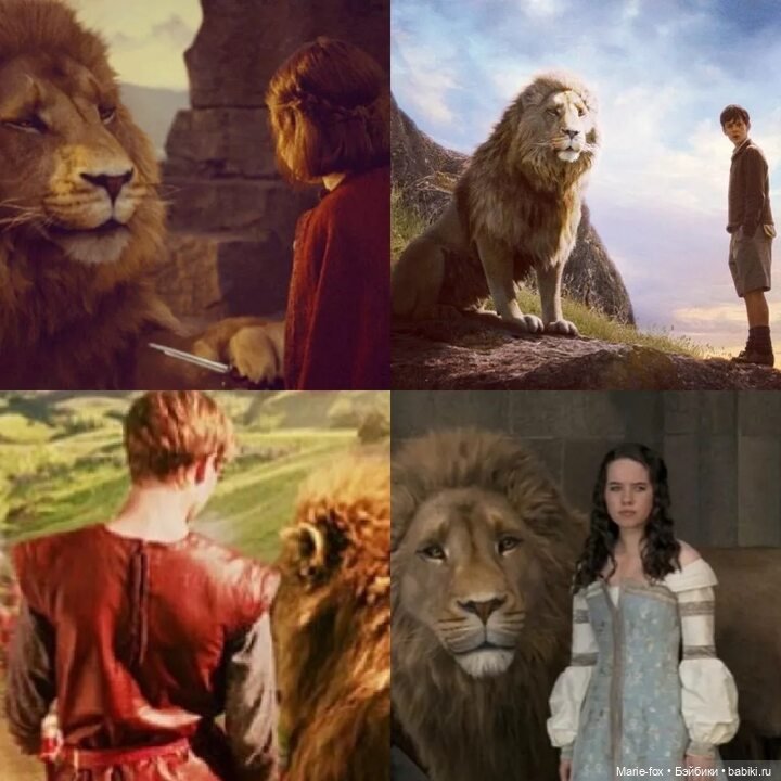 Лев и его День — Интересное и необычное: фотоподборки (фото 4)