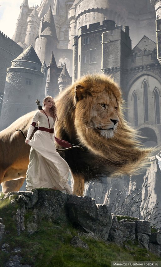 Лев и его День — Интересное и необычное: фотоподборки (фото 3)