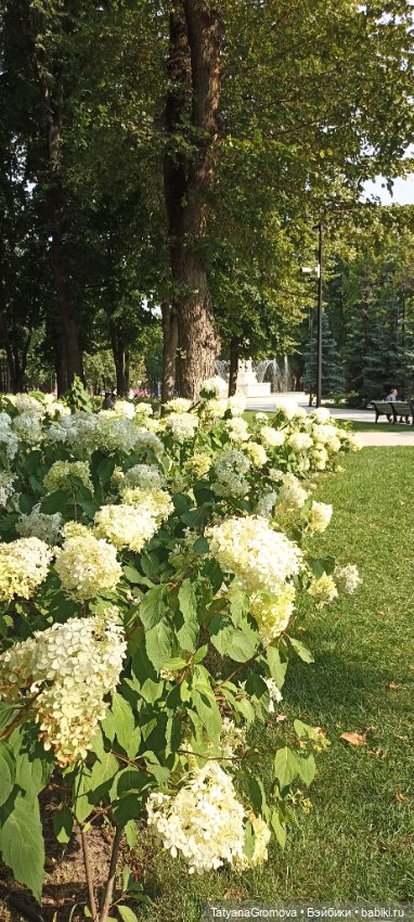 Гамарджоба, Барби! Или все девочки любят розовый