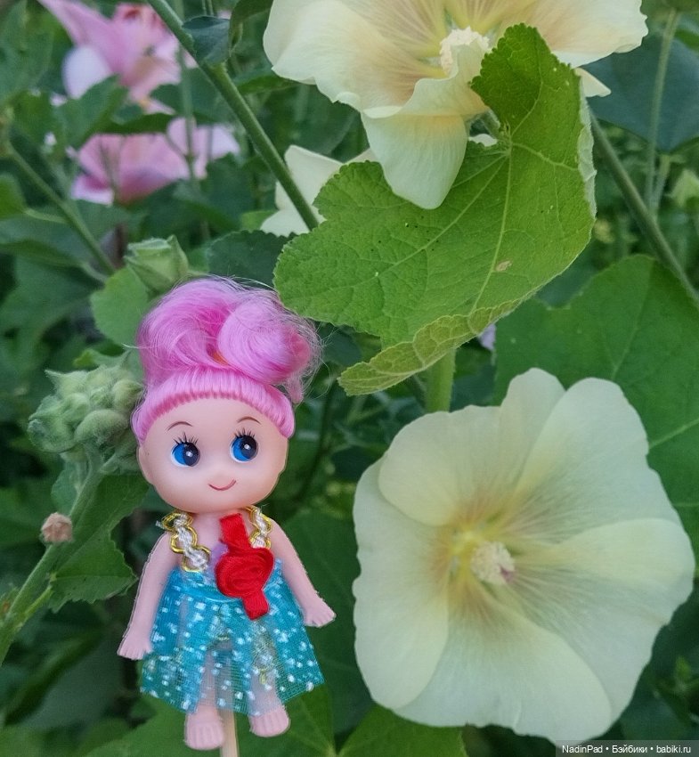 Цветочная фея при делах🌸 — Болталка и разговоры обо всем: жизнь (фото 3)