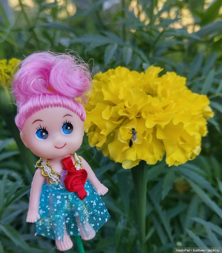 Цветочная фея при делах🌸 — Болталка и разговоры обо всем: жизнь (фото 4)