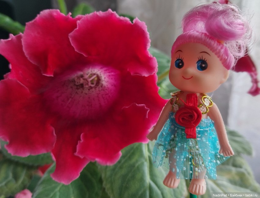 Цветочная фея при делах🌸 — Болталка и разговоры обо всем: жизнь