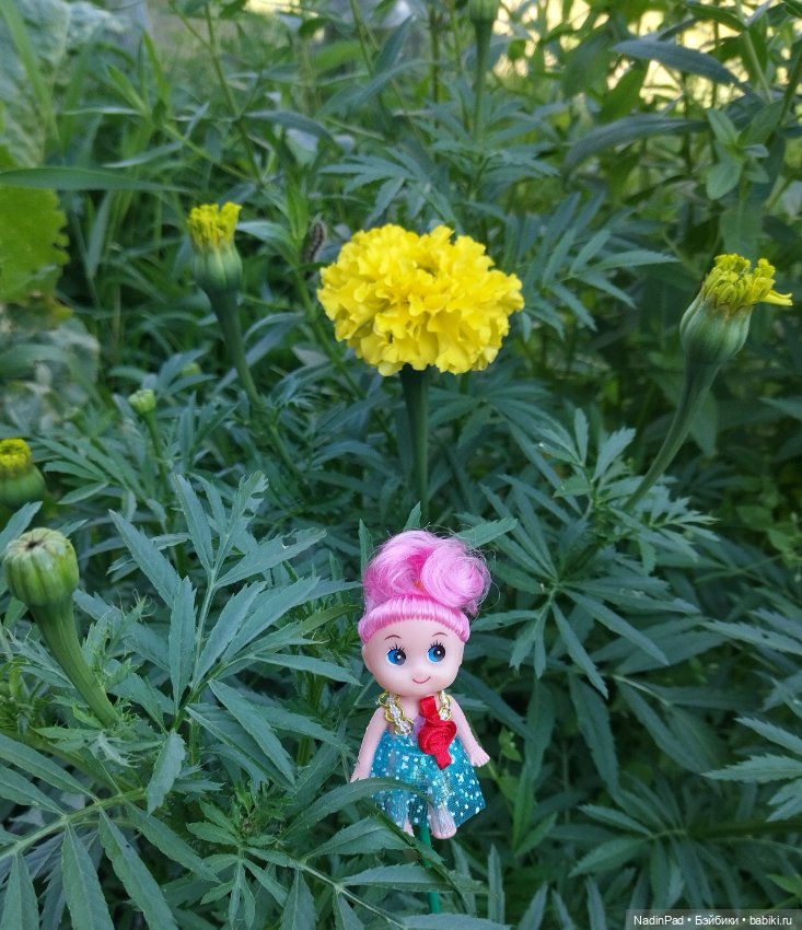 Цветочная фея при делах🌸 — Болталка и разговоры обо всем: жизнь (фото 5)