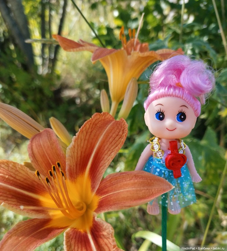 Цветочная фея при делах🌸 — Болталка и разговоры обо всем: жизнь (фото 7)