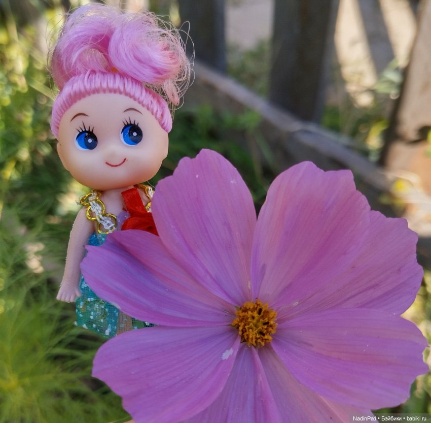 Цветочная фея при делах🌸 — Болталка и разговоры обо всем: жизнь (фото 10)