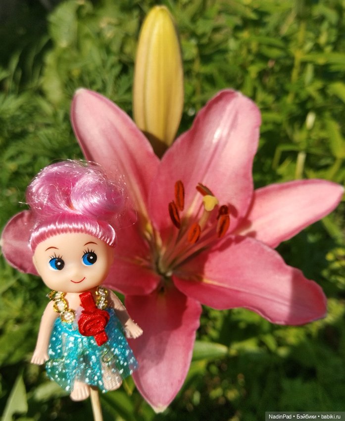 Цветочная фея при делах🌸 — Болталка и разговоры обо всем: жизнь (фото 6)