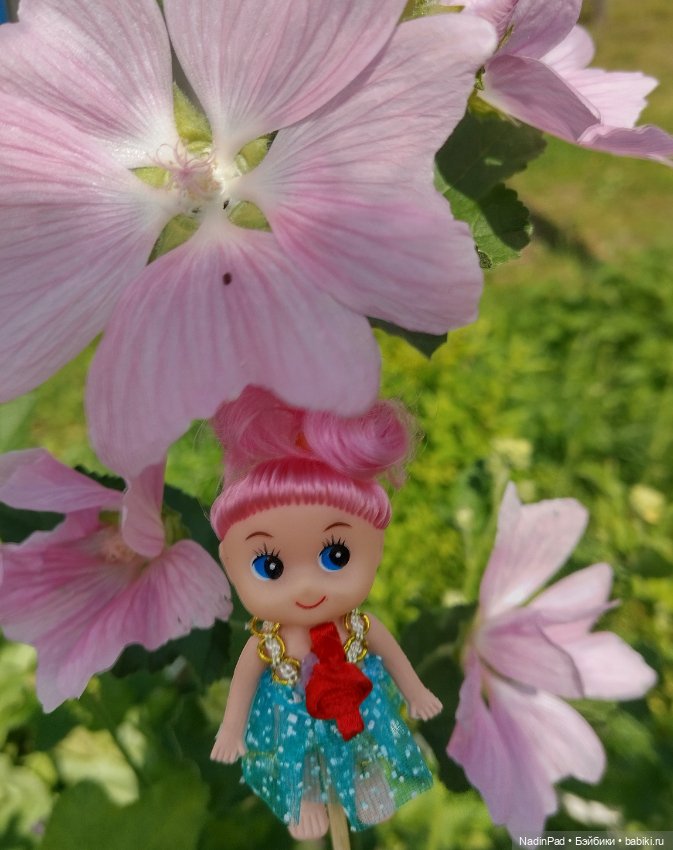 Цветочная фея при делах🌸 — Болталка и разговоры обо всем: жизнь (фото 8)