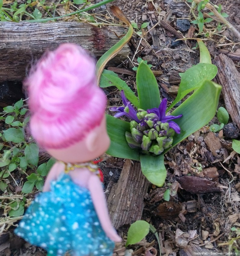 Цветочная фея при делах🌸 — Болталка и разговоры обо всем: жизнь