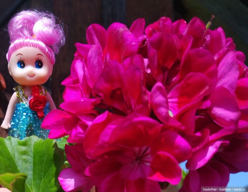 Цветочная фея при делах🌸 — Болталка и разговоры обо всем: жизнь (фото 2)