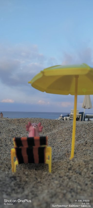 Кака на шезлонге, под шезлонгом, за шезлонгом и т д