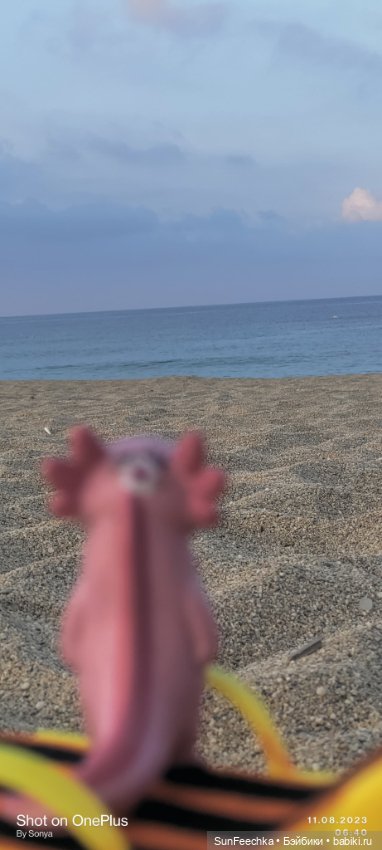 Кака на шезлонге, под шезлонгом, за шезлонгом и т д (фото 3)