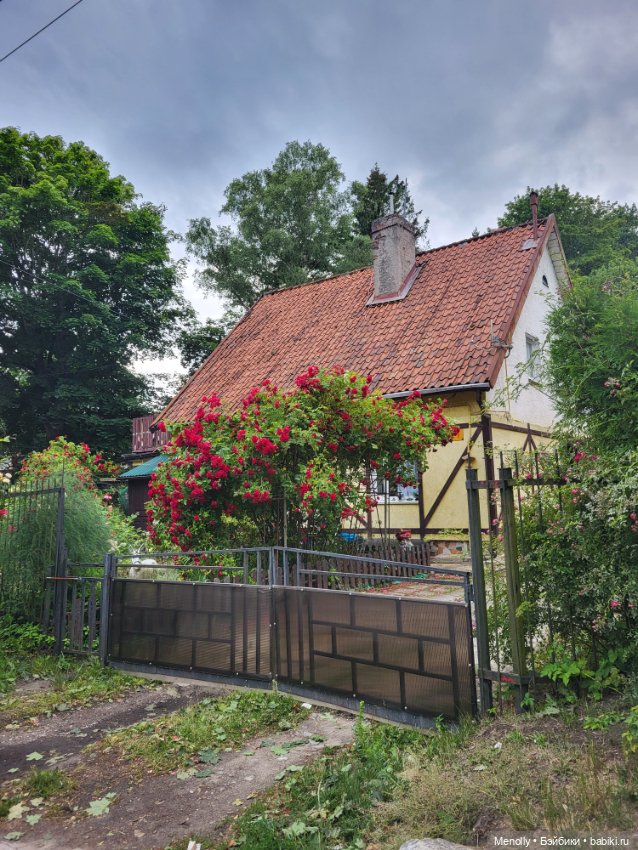 Почти 200 ступенек до моря