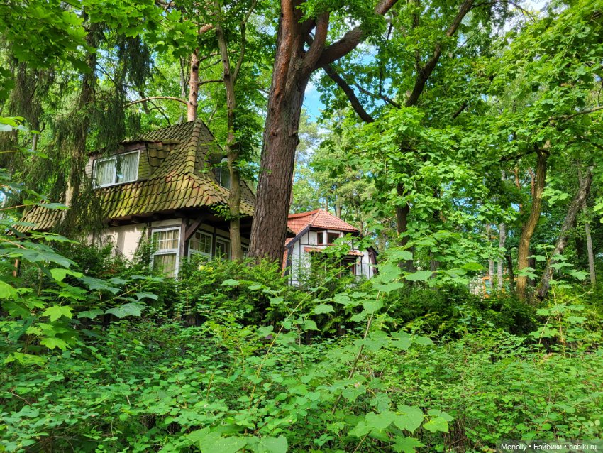 Почти 200 ступенек до моря (фото 3)