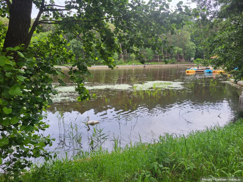 Почти 200 ступенек до моря