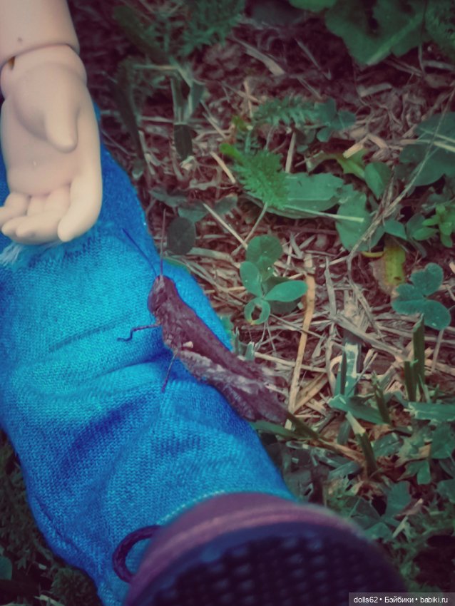 Неожиданный гость — Куклы Fairyland (ФэйриЛэнд): BJD (БЖД) (фото 9)