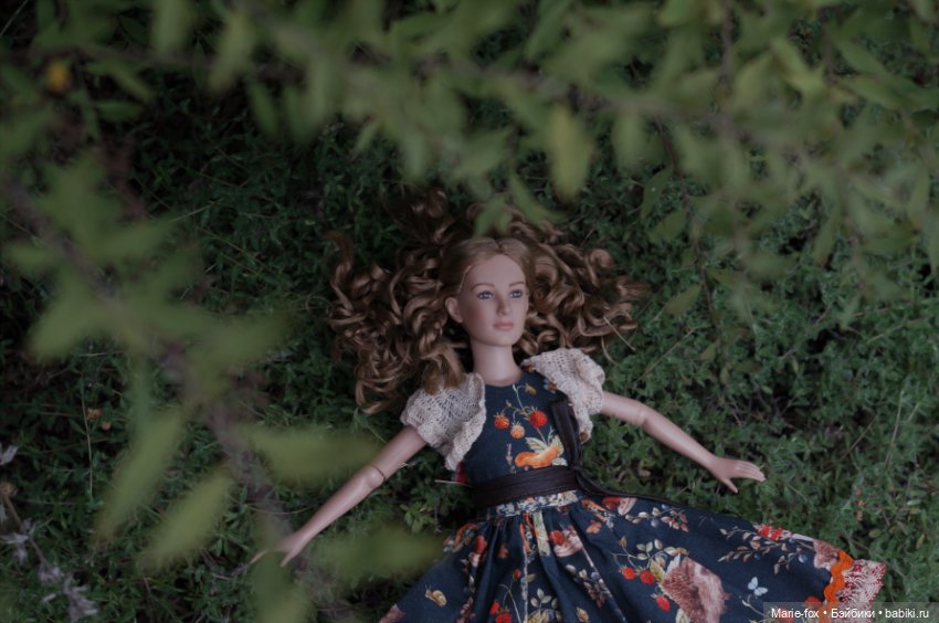 Лира, девочка из Тоннера волшебного мира. Часть 2 (фото 6)