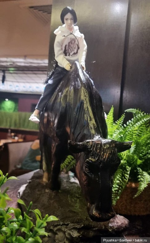 А я иду, шагаю по Москве — Разные шарнирные куклы (не БЖД): редкие